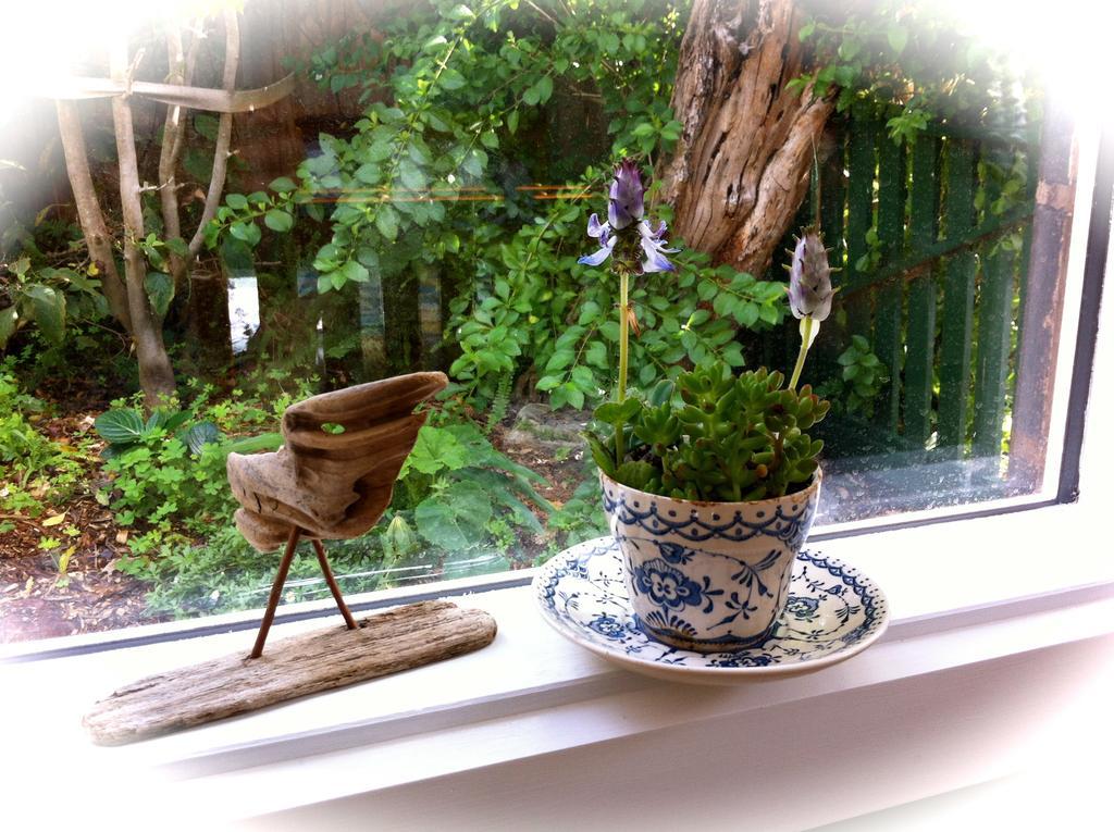 Sea Salt Bnb Rosebud Zimmer foto
